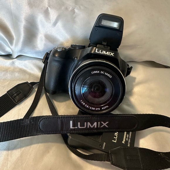 Panasonic LUMIX Black Digital Camera with Strap and battery